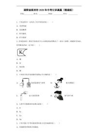 湖南省株洲市2020年中考化学真题含解析