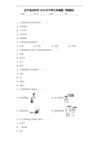 辽宁省沈阳市2020年中考化学真题含解析