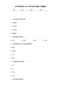 辽宁省沈阳市2020年中考化学真题含答案解析