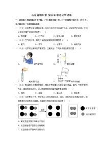 山东省德州市2020年中考化学试卷含答案解析