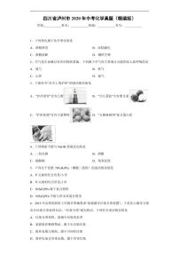 四川省泸州市2020年中考化学真题含解析