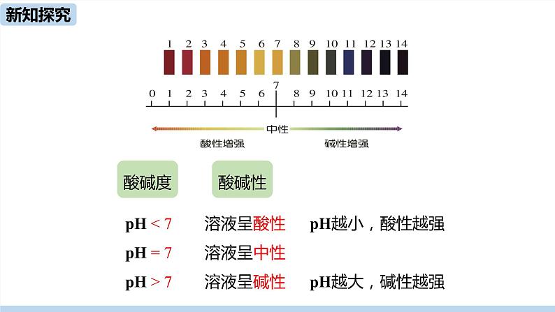 人教版化学九年级下册 10.2  酸和碱的中和反应（PPT课件+素材）05