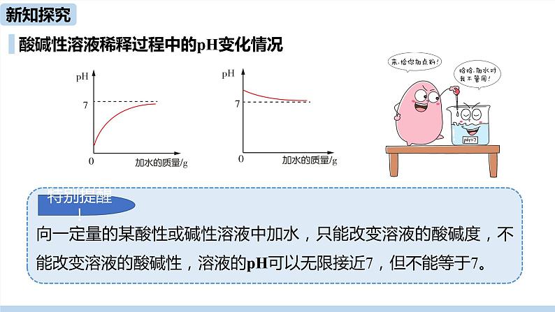 人教版化学九年级下册 10.2  酸和碱的中和反应（PPT课件+素材）06