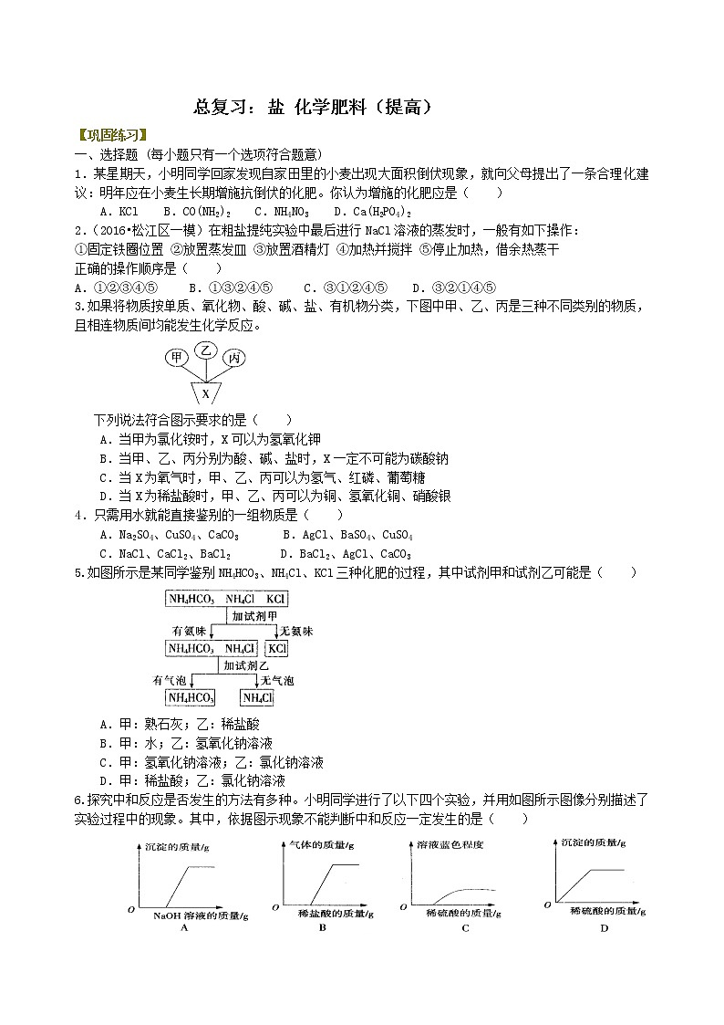 中考化学总复习：盐 化学肥料（提高）练习 (含解析)01