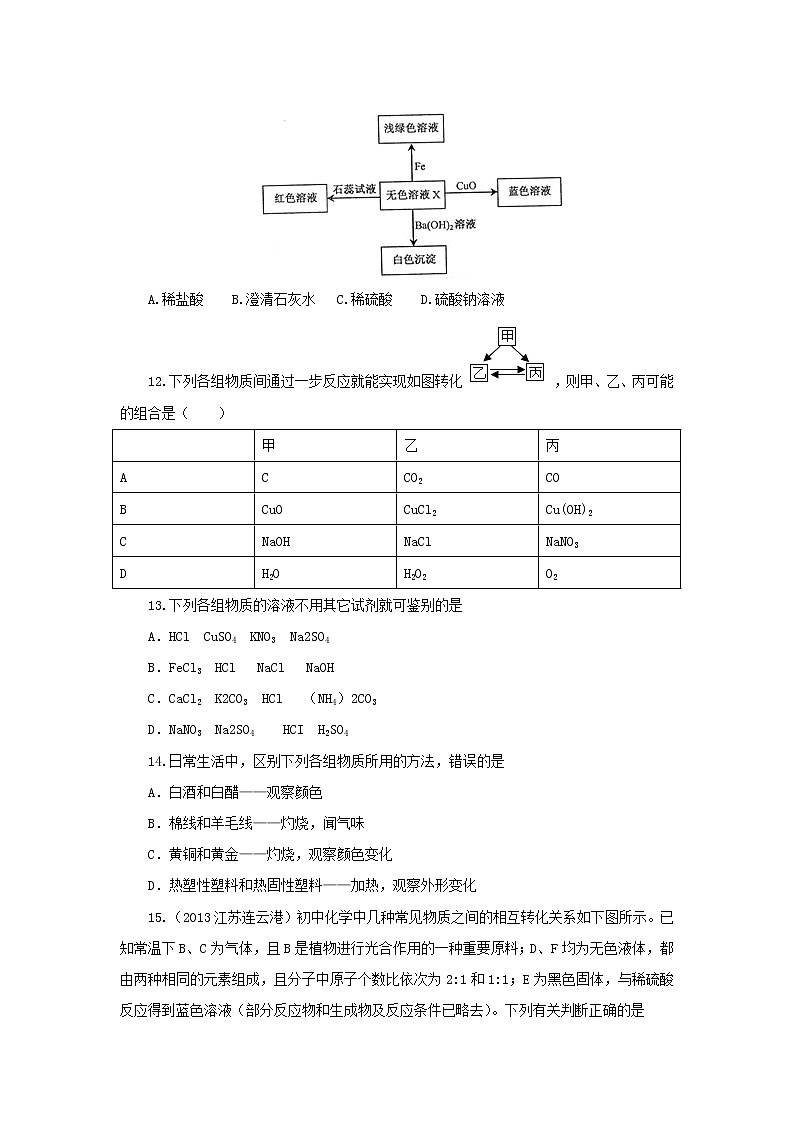 中考化学专题训练：物质的鉴别、鉴定与推断(含详解)03