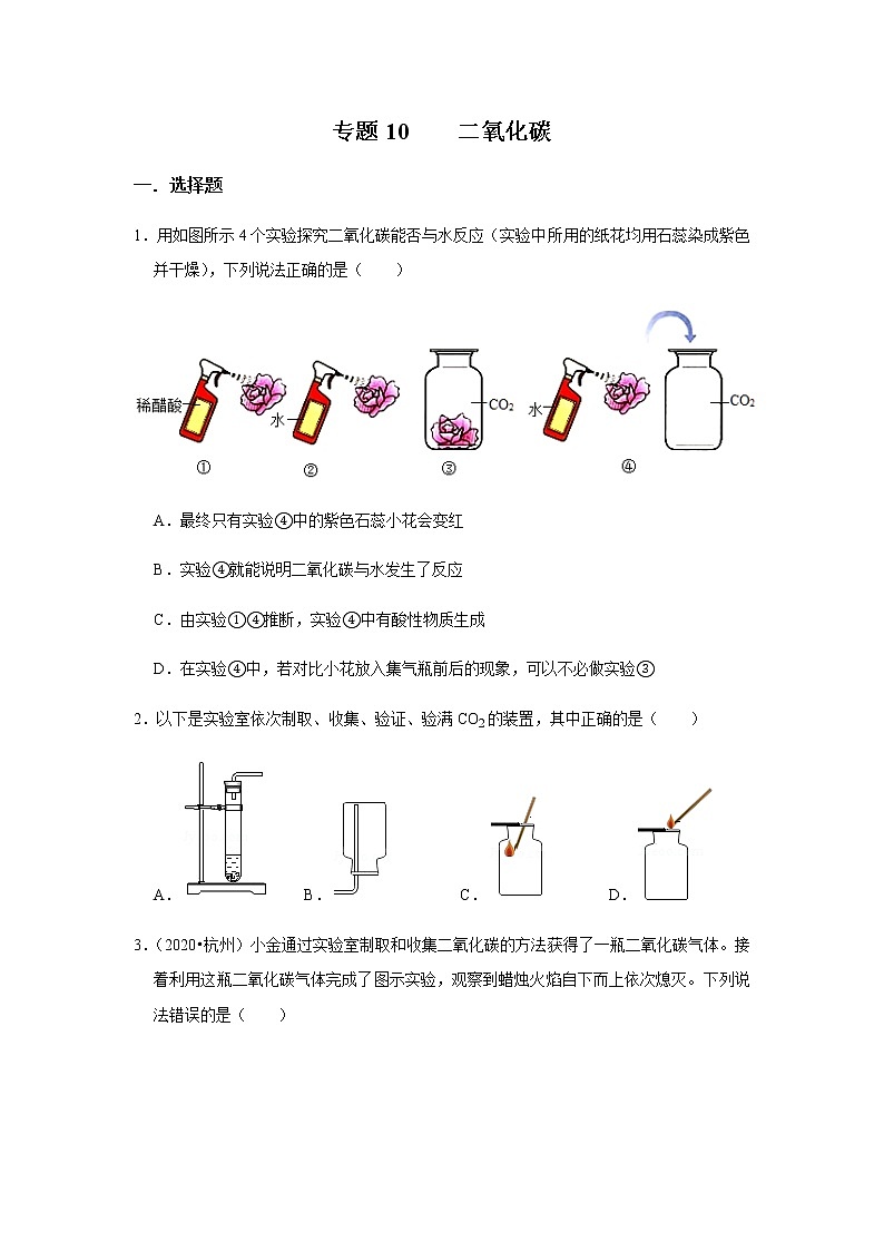 专题10 二氧化碳（原卷版)第1页
