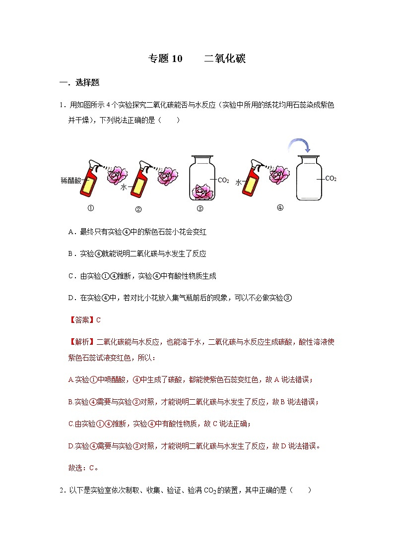 专题10  二氧化碳（解析版)第1页
