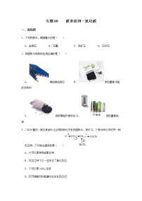 2021中考化学专项突破 专题09 碳单质和一氧化碳（通用版）