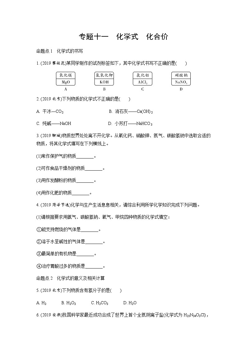 中考化学专题复习  专题十一　化学式　化合价练习（含解析）01