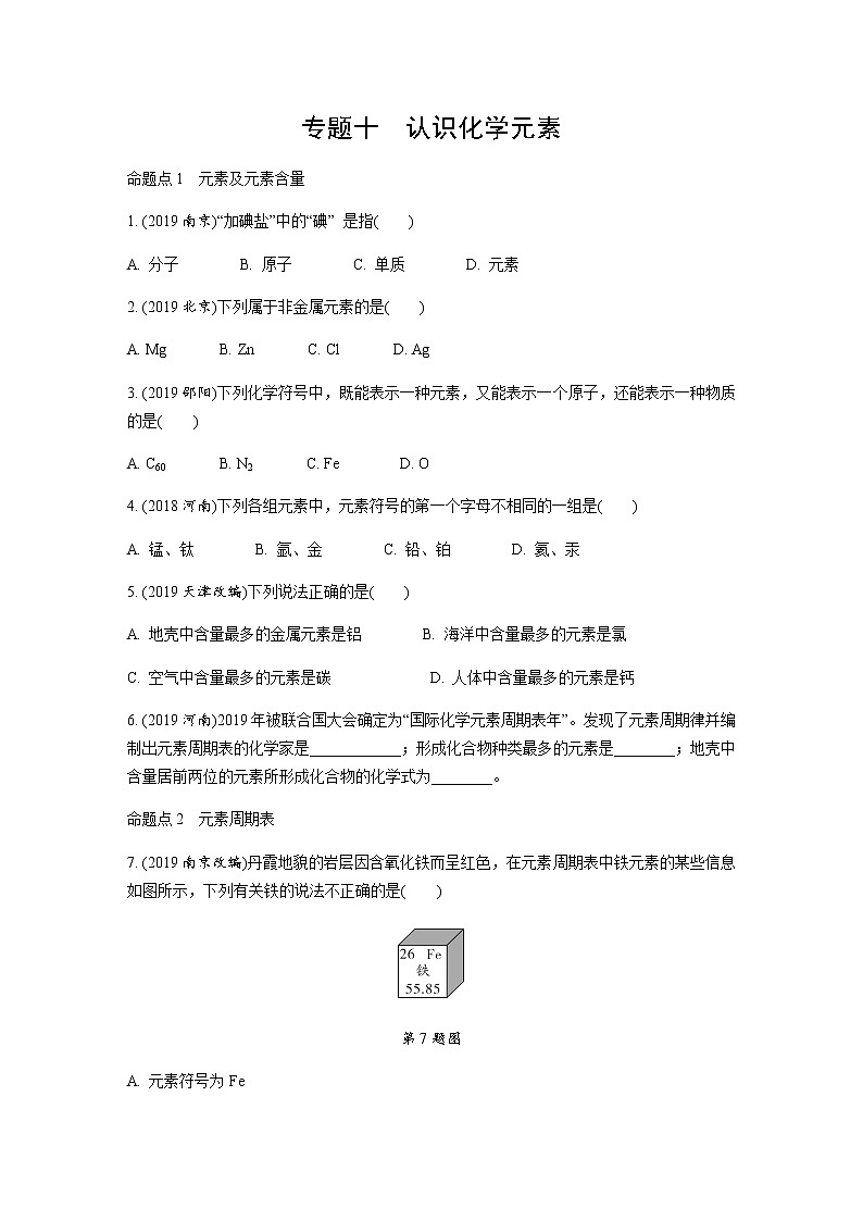 中考化学专题练习  专题十　认识化学元素练习（含解析）01