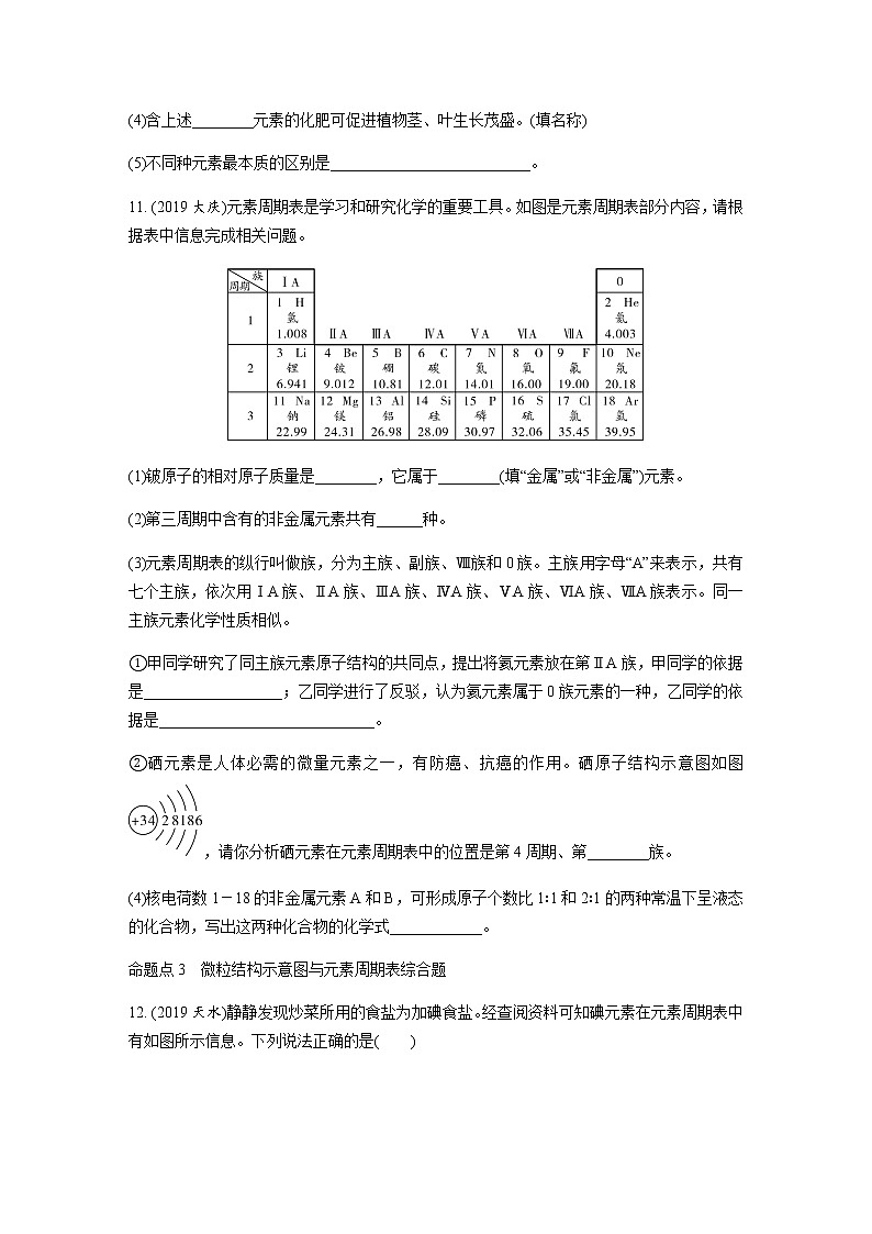 中考化学专题练习  专题十　认识化学元素练习（含解析）03