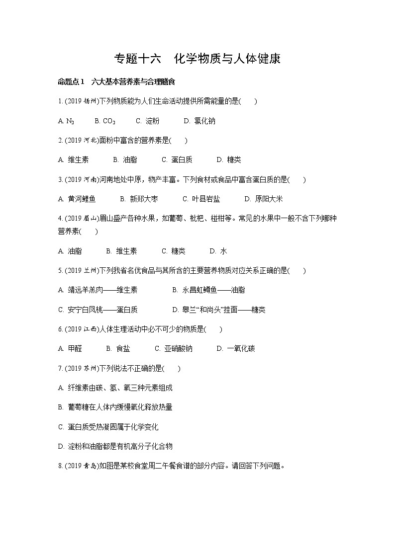 中考化学专题复习  专题十六　化学物质与人体健康练习（含解析）01