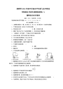 德阳市2021年初中学业水平考试与高中阶段学校招生考试全真模拟试卷1（含解析）