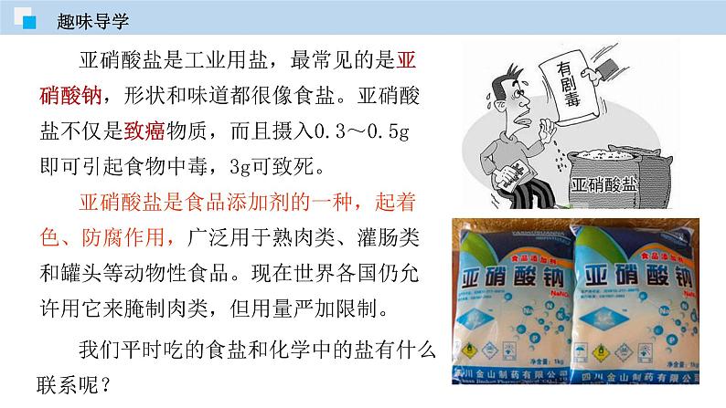 课题11.1  生活中常见的盐（课件） 2020-2021学年人教版九年级化学下册同步精品课堂（共52张PPT）04