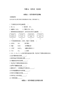 专题11　化学式 化合价-2021年中考化学命题点分析与精练