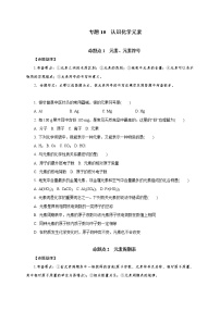 专题10　认识化学元素-2021年中考化学命题点分析与精练