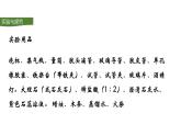 人教版初中化学（上册） 第六单元 实验活动2 二氧化碳的实验室制取与性质课件