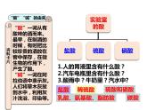 人教版初中化学（下册）第十单元  课题1 第1课时  酸碱指示剂  几种常见的酸课件