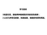 人教版初中化学（下册）第十单元  课题1 第1课时  酸碱指示剂  几种常见的酸课件