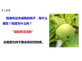 人教版初中化学（下册）第十单元  课题1 第3课时  几种常见的碱  碱的化学性质课件