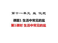 初中化学人教版九年级下册第十一单元  盐  化肥课题1 生活中常见的盐课文内容课件ppt