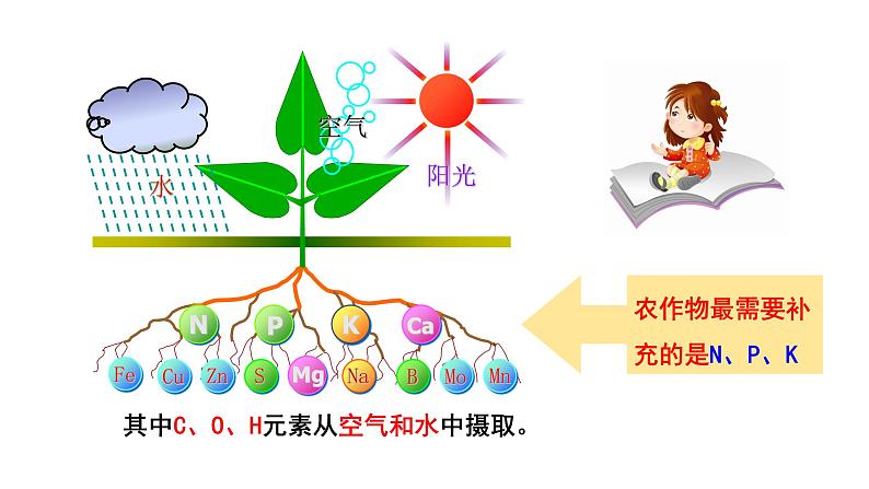 人教版初中化学（下册） 第十一单元  课题2  化学肥料 课件04