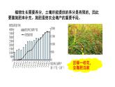 人教版初中化学（下册） 第十一单元  课题2  化学肥料 课件