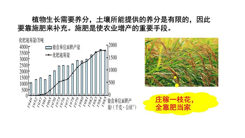 人教版初中化学（下册） 第十一单元  课题2  化学肥料 课件05