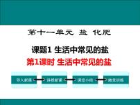 初中化学人教版九年级下册第十一单元  盐  化肥课题1 生活中常见的盐示范课课件ppt