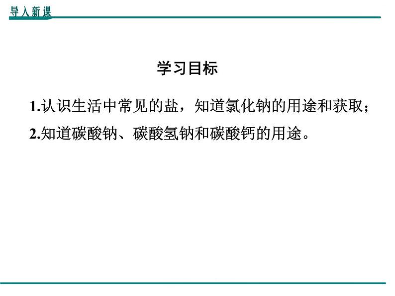 人教版初中化学九年级（下册）第十一单元 课题1  第1课时  生活中常见的盐课件05