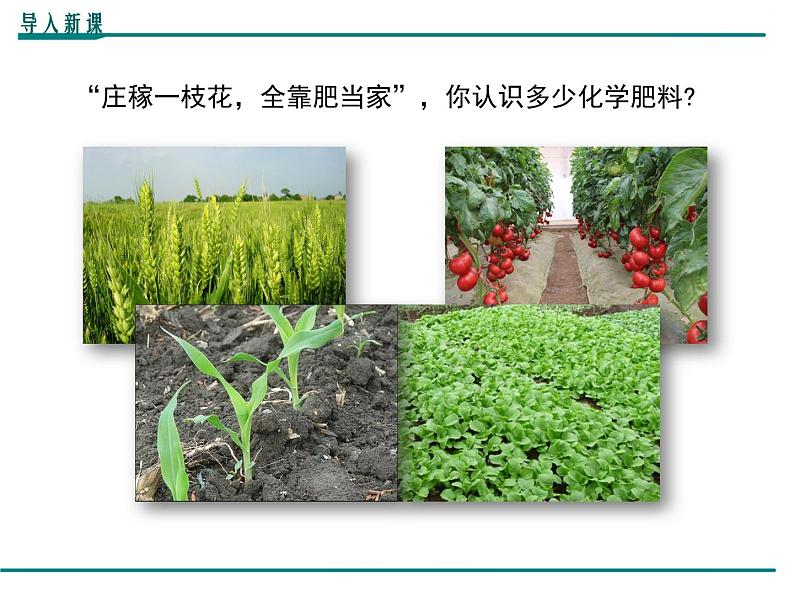 人教版初中化学九年级（下册）第十一单元 课题2  化学肥料课件02