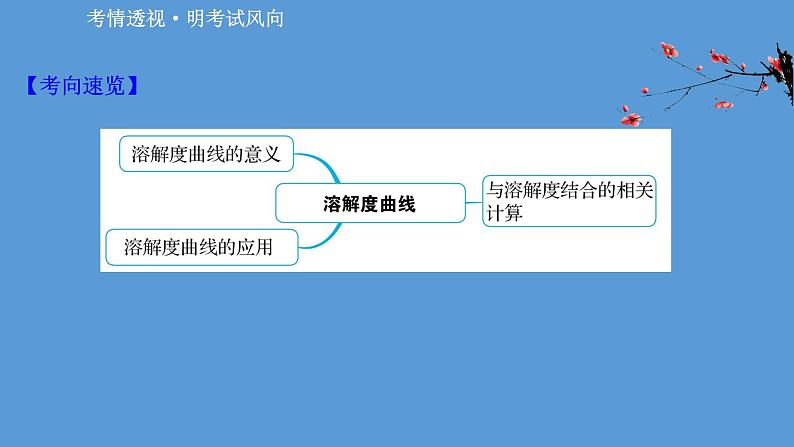 2021学年中考化学一轮复习课件必考点5　溶解度曲线及其应用(课件)第2页