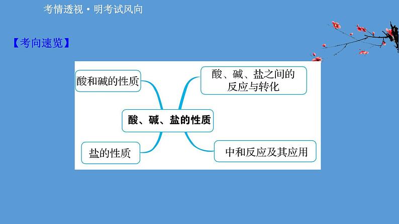 2021学年中考化学一轮复习课件必考点6　酸、碱、盐的性质(课件)02