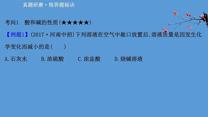 2021学年中考化学一轮复习课件必考点6　酸、碱、盐的性质(课件)04