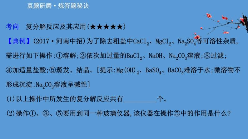 2021学年中考化学一轮复习课件必考点11　复分解反应及其应用(课件)04