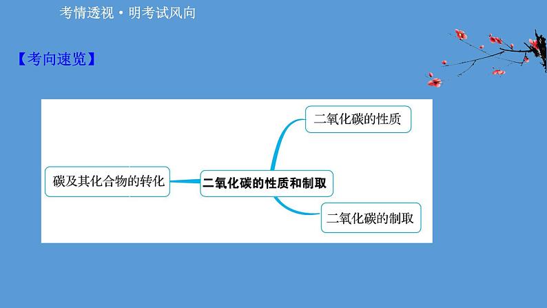 2021学年中考化学一轮复习课件必考点2　二氧化碳的性质和制取(课件)02