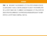 人教版初中化学九年级（下册）第九单元 单元检测课件