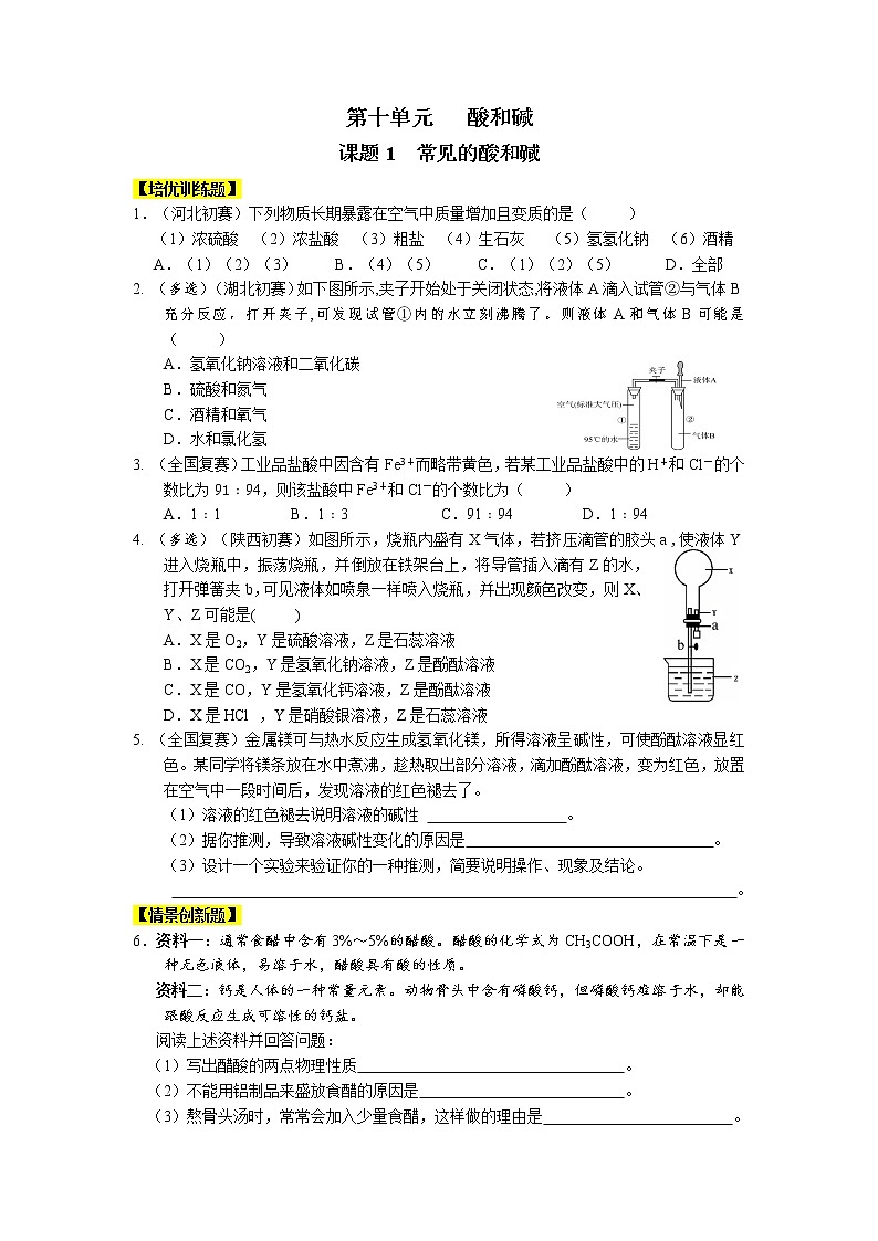九年级化学下册[人教版]第10单元 酸和碱 试卷01