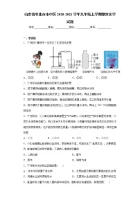 山东省枣庄市市中区2020-2021学年九年级上学期期末化学试题（word版 含答案）