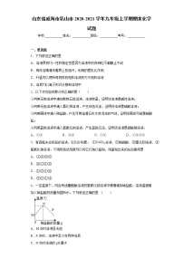 山东省威海市乳山市2020-2021学年九年级上学期期末化学试题（word版 含答案）