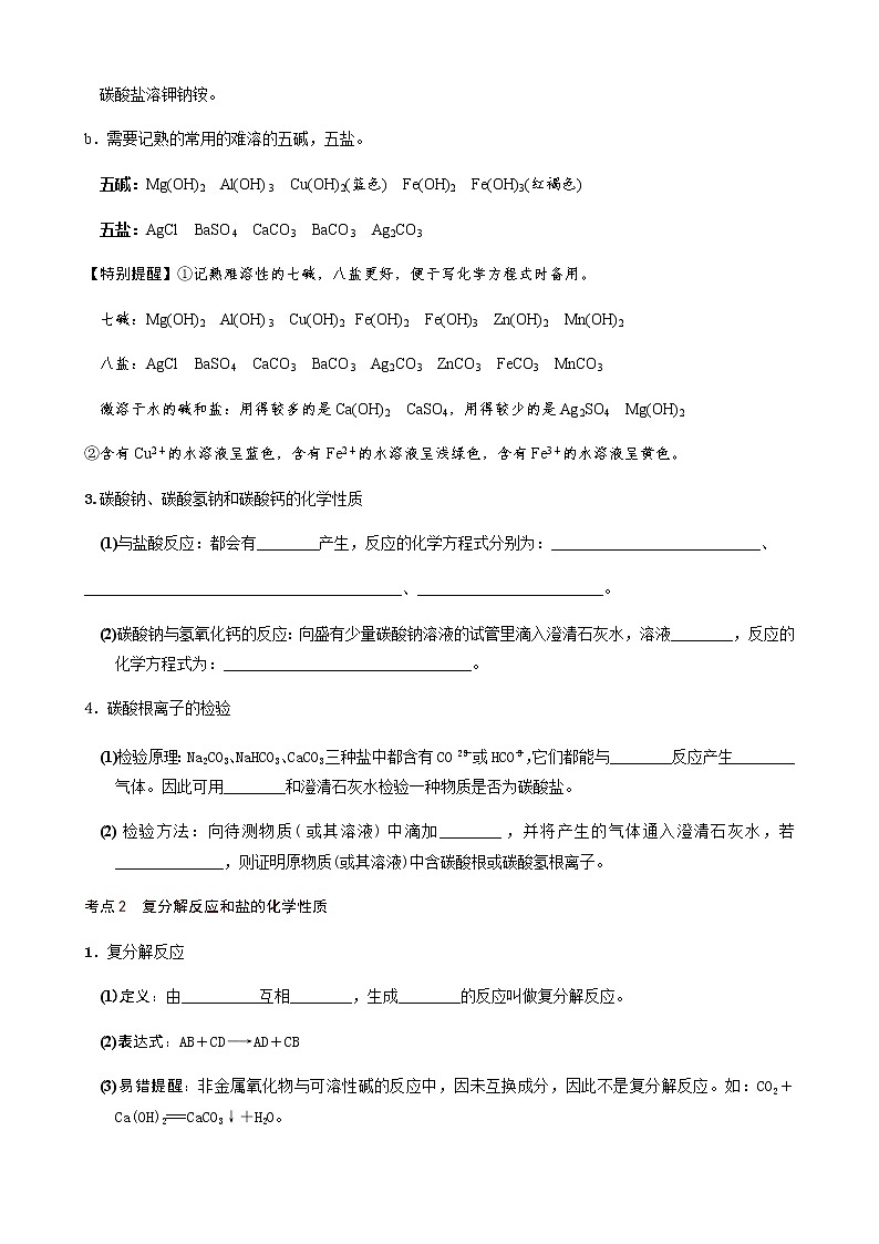 第11章  盐和化肥（考点知识梳理+例题） 2021年中考化学一轮复习讲义 （机构用）02
