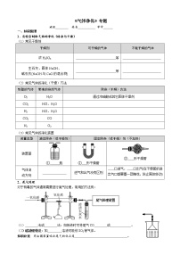 气体净化 考点测试 2021年中考化学专题复习