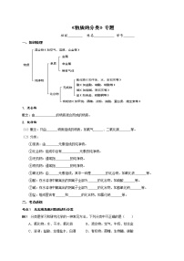 物质的分类 考点测试 2021年中考化学专题复习