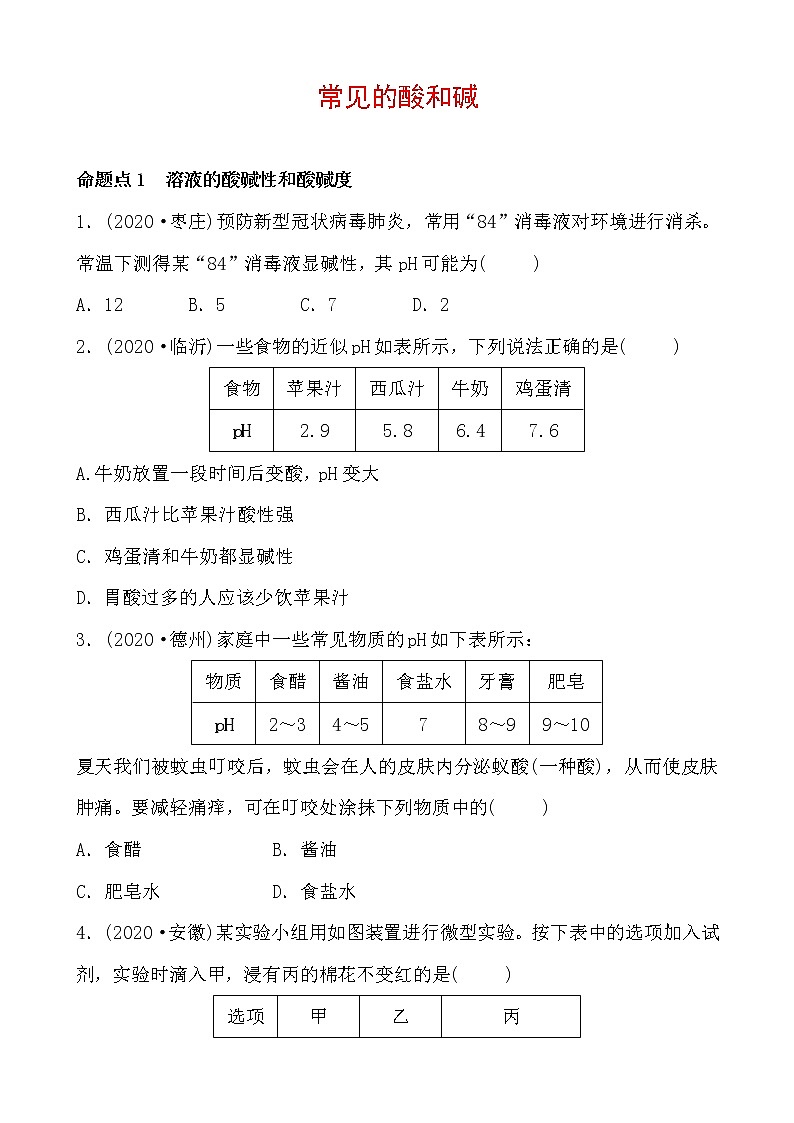 2021年春人教版九年级化学中考第一轮知识点过关训练     常见的酸和碱01