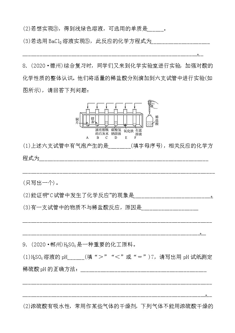 2021年春人教版九年级化学中考第一轮知识点过关训练     常见的酸和碱03