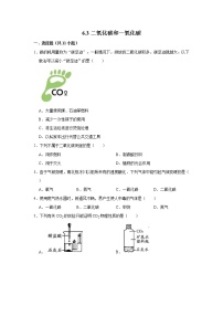 6.3二氧化碳和一氧化碳 精选习题 2021年人教版中考化学按章节复习（含解析）