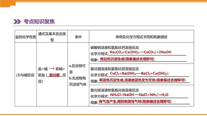 中考化学总复习课件  第08课时　盐　化肥  课件05