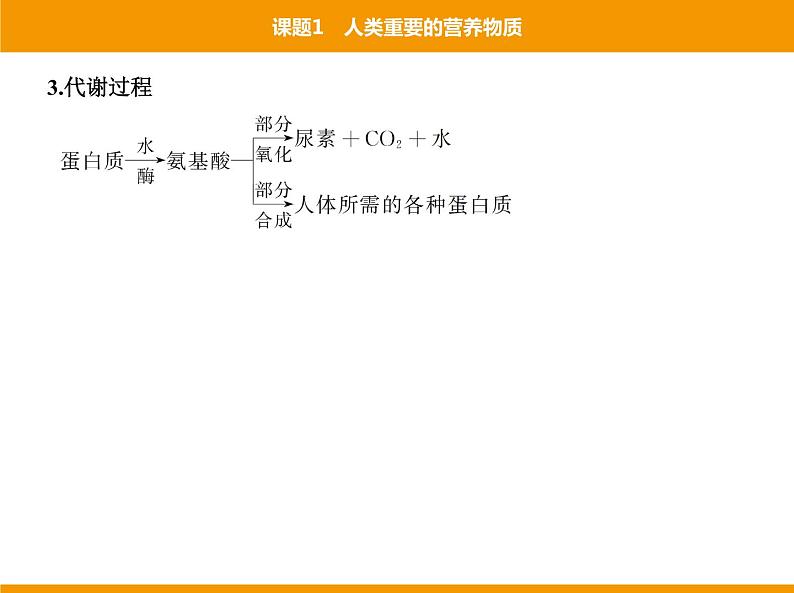 人教版初中化学九年级（下册）第十二单元 课题1 人类重要的营养物质课件08