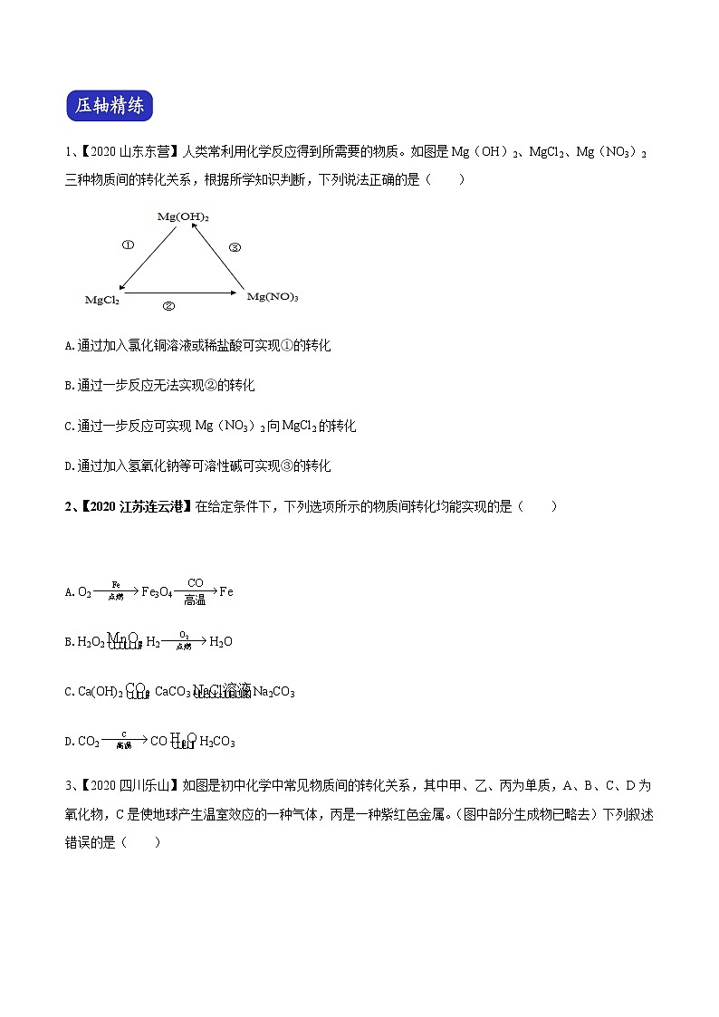 专题06 物质的转化与推断（原卷版）-决胜2021年中考化学压轴题全揭秘03