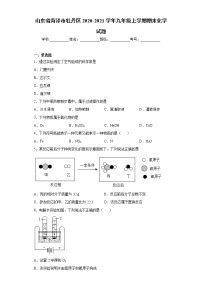 山东省菏泽市牡丹区2020-2021学年九年级上学期期末化学试题（word版含答案）